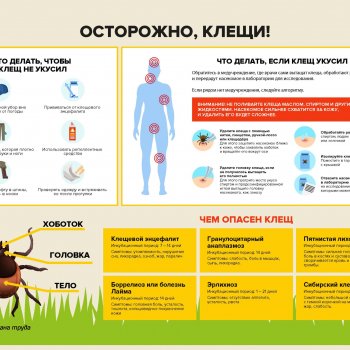 клещи